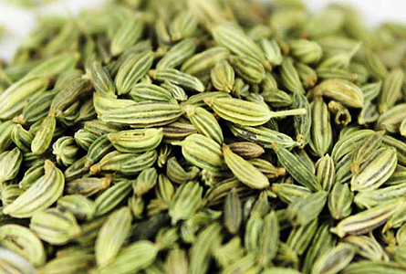 Tri Tee Global Inc fennel seeds view